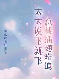 太太说飞就飞,总裁插翅难追